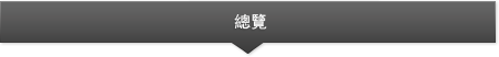 總覽