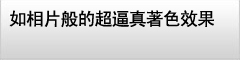 如相片般的超逼真著色效果
