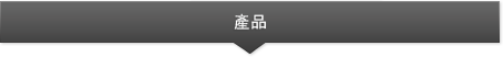 Icera產品