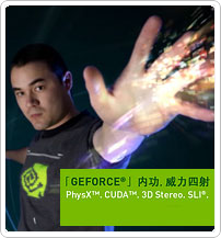 ForceWithin