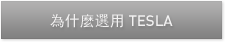 為什麼選用 TESLA