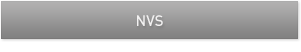 NVS商用繪圖卡