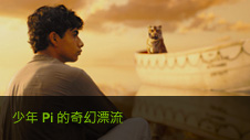 Life of Pi