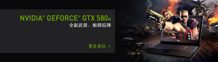 NVIDIA GeForce: GeForce繪圖處理器