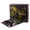 xfx