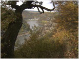 movie_thumb_rhine_valley.jpg
