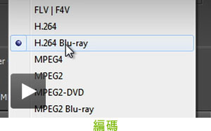 Encoding