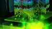 Quadro Scalable Geometry Engine